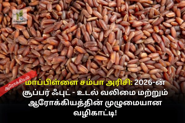 Mappillai Samba
