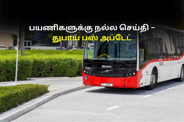 Dubai New Bus Routes 2025