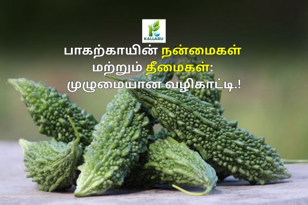 Benefits and Side Effects of Bitter Gourd in Tamil