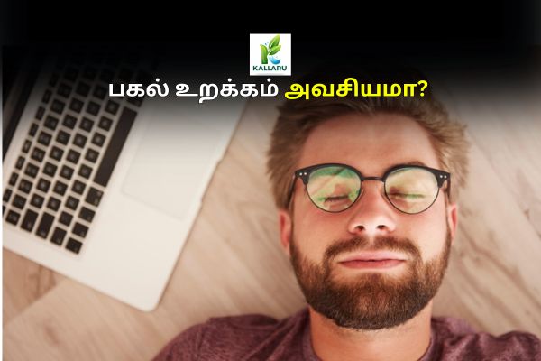 Is daytime sleep necessary?