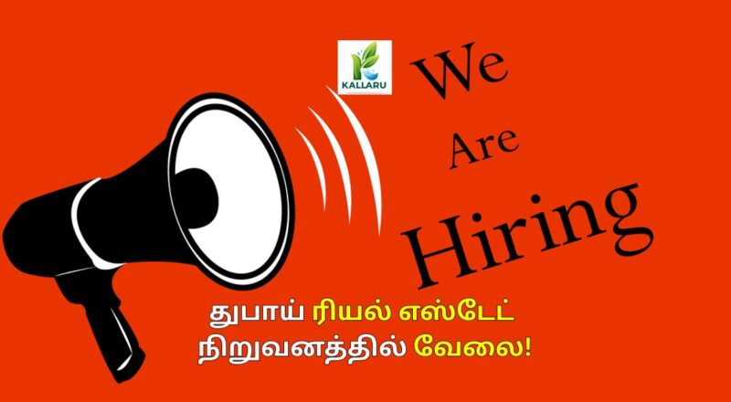 Outbound Call Center Agent