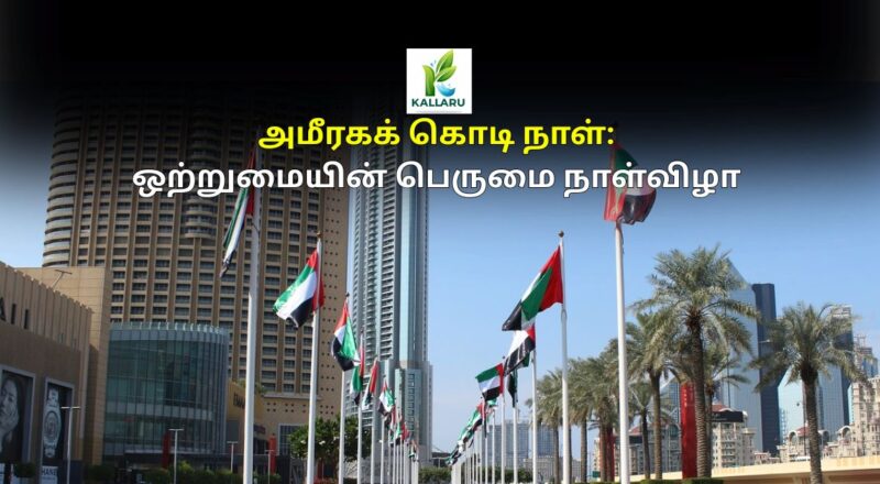 UAE Flag Day 2025