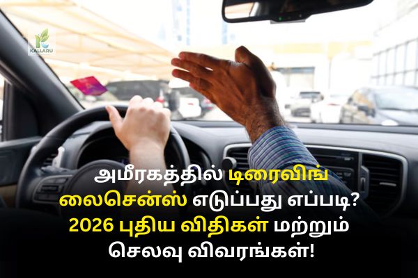 UAE Driving License Guide 2026