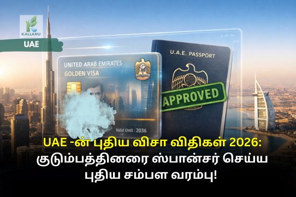 UAE New Visa Rules