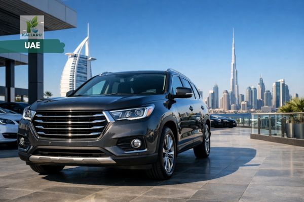 Used Cars UAE
