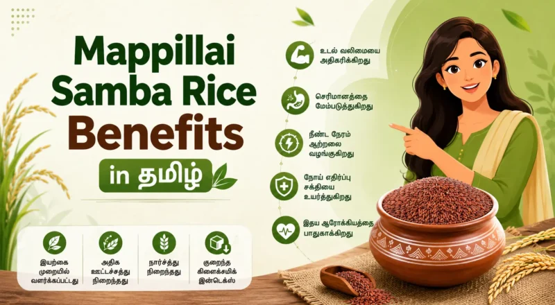 Mappillai Samba Rice Benefits