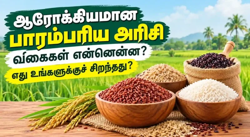 பாரம்பரிய அரிசி வகைகள் (Traditional Rice Varieties) அதன் மருத்துவ, ஊட்டச்சத்து நன்மைகள் என்ன?